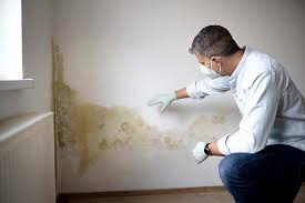 Best Forensic Mold Investigation  in East Dubuque, IL